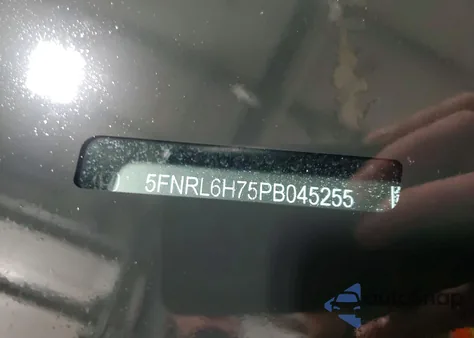 2023 Honda Odyssey Sport-L z USA, uszkodzony, nr VIN 5FNRL6H75PB045255